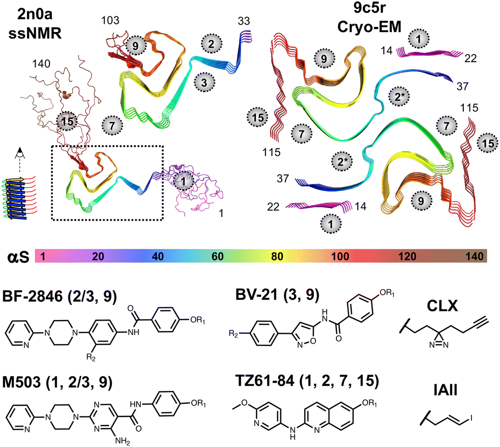 Alpha-Synuclein Binder preview