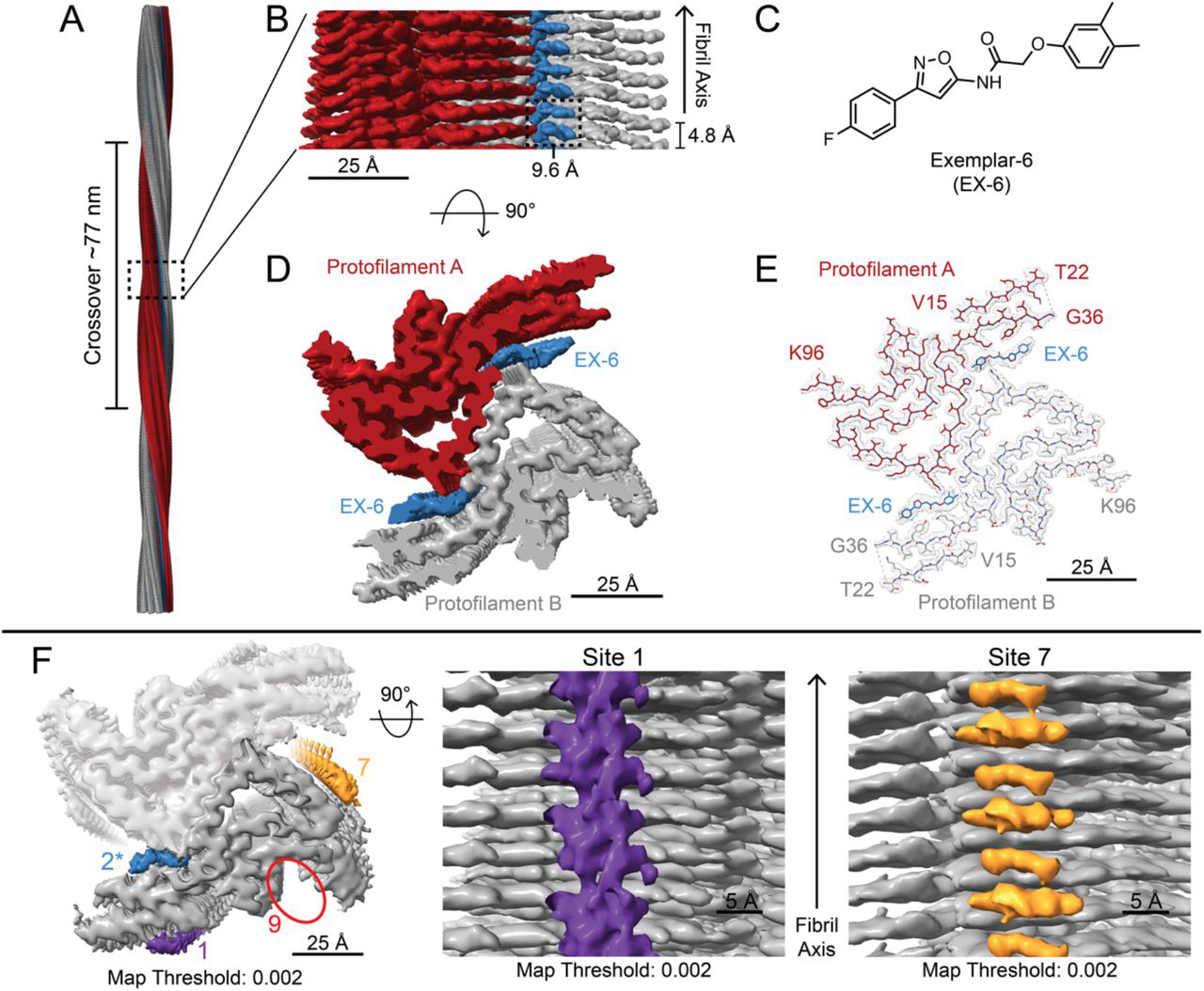 Selective Radioligand Binding to α-Synuclein in MSA Tissue preview