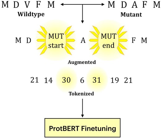 HintToken Learning preview