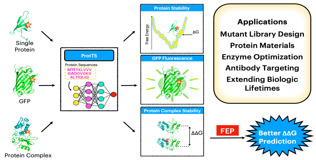 Protein Stability Prediction preview